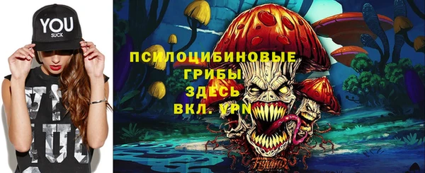 прущая мука Арсеньев