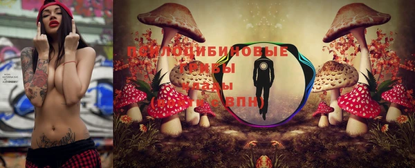 прущая мука Арсеньев