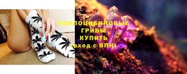 прущая мука Арсеньев