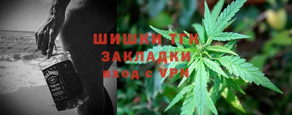 прущая мука Арсеньев