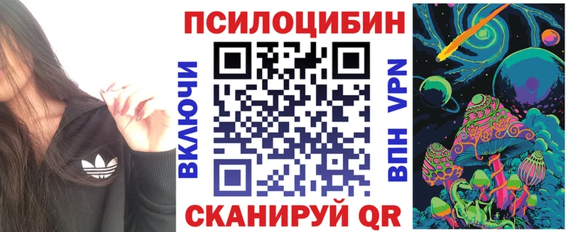 сколько стоит  Новоаннинский  Псилоцибиновые грибы Psilocybine cubensis 